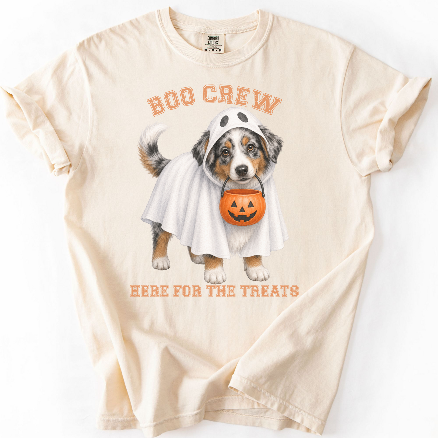 Australian Shepherd Boo Crew Halloween Shirt, Here for the Treats Dog Mom Tee