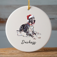 Load image into Gallery viewer, Great Dane Christmas Ornament, Personalized Dog Lover Gift
