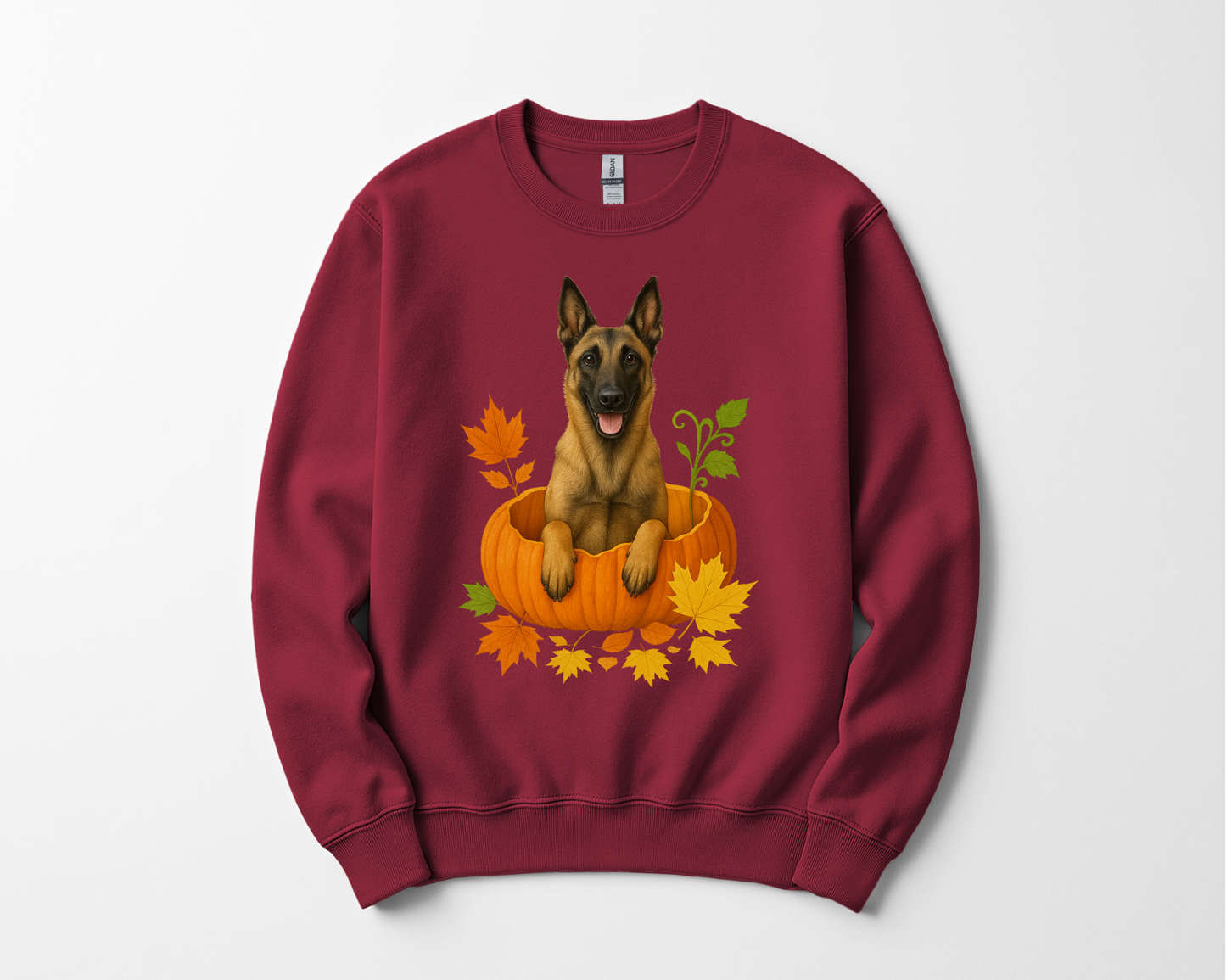 Belgian Malinois in Pumpkin Fall Shirt