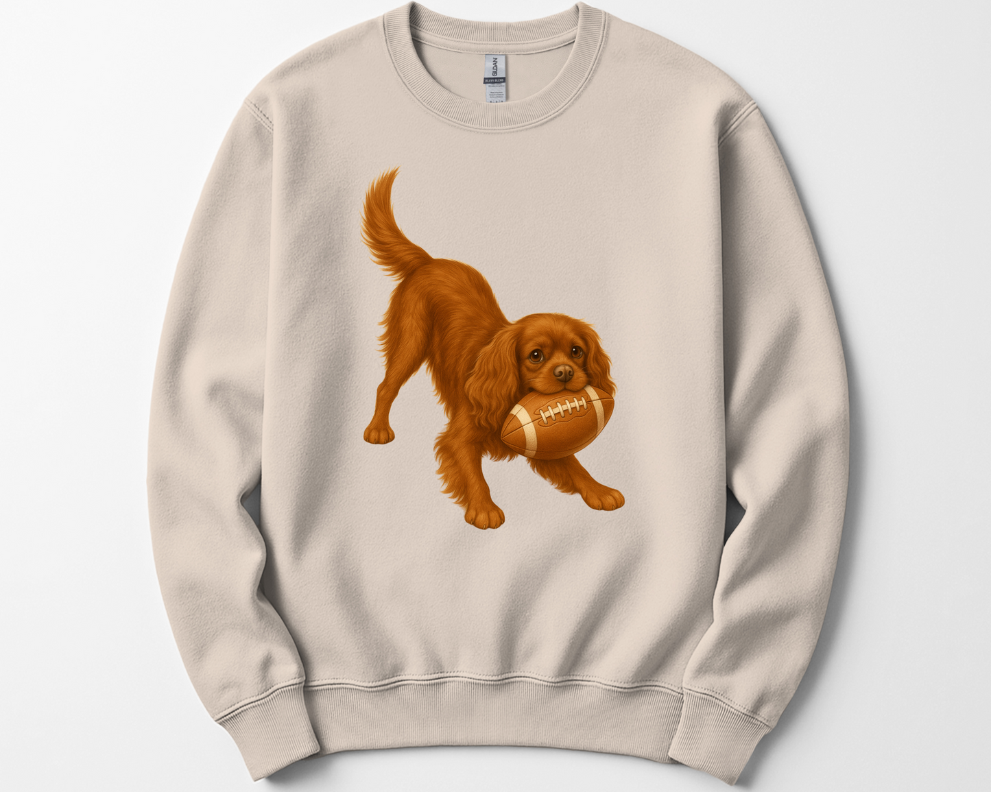 Cavalier King Charles Spaniel Football Sweatshirt – Blenheim, Ruby or Tri-Color Dog Lover Gift