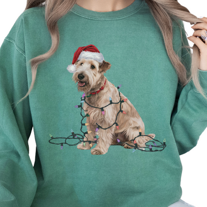 Soft Coated Wheaten Terrier Christmas Lights Sweatshirt, Festive Dog Mom Apparel