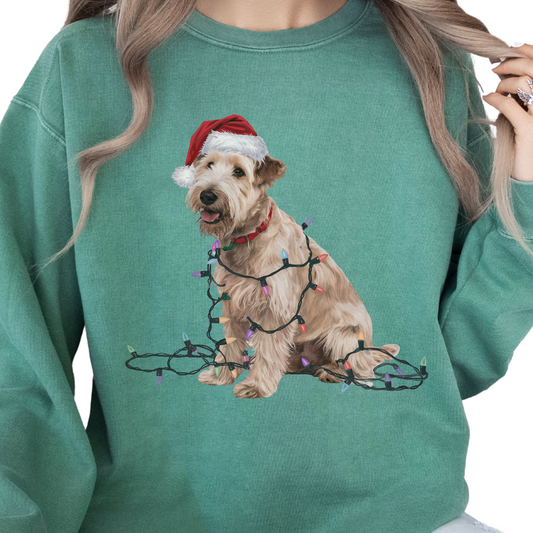 Soft Coated Wheaten Terrier Christmas Lights Sweatshirt, Festive Dog Mom Apparel