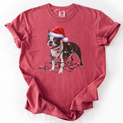 Boston Terrier Christmas Lights Shirt, Fun Holiday Tee for Terrier Lovers
