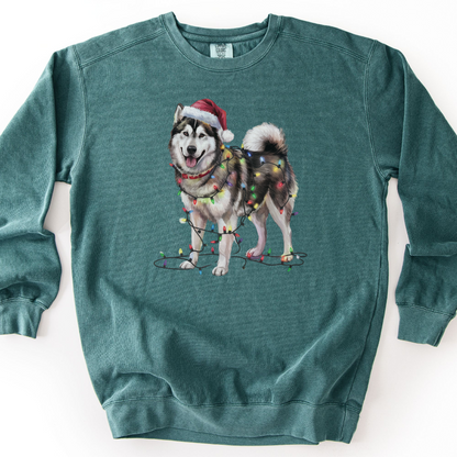 Alaskan Malamute Christmas Lights Dog Sweatshirt, Malamute Mom Gift