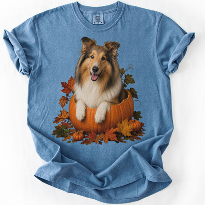 Collie in Pumpkin Fall Shirt, Cute Autumn Dog Tee for Rough Collie Lovers