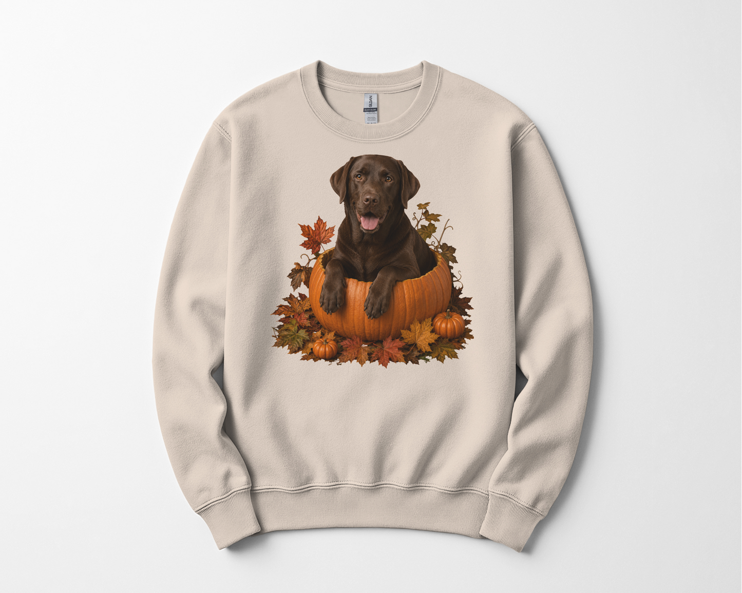 Chocolate Lab Pumpkin Sweatshirt Fall Dog Lover Autumn Labrador Cozy Crewneck Gift Pullover Apparel
