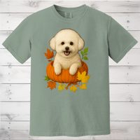 Load image into Gallery viewer, Bichon Frise Pumpkin Shirt
