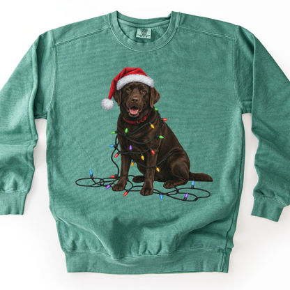 Chocolate Lab Christmas Lights Sweatshirt