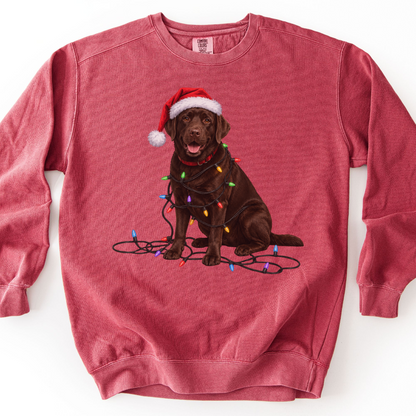 Chocolate Lab Christmas Lights Sweatshirt