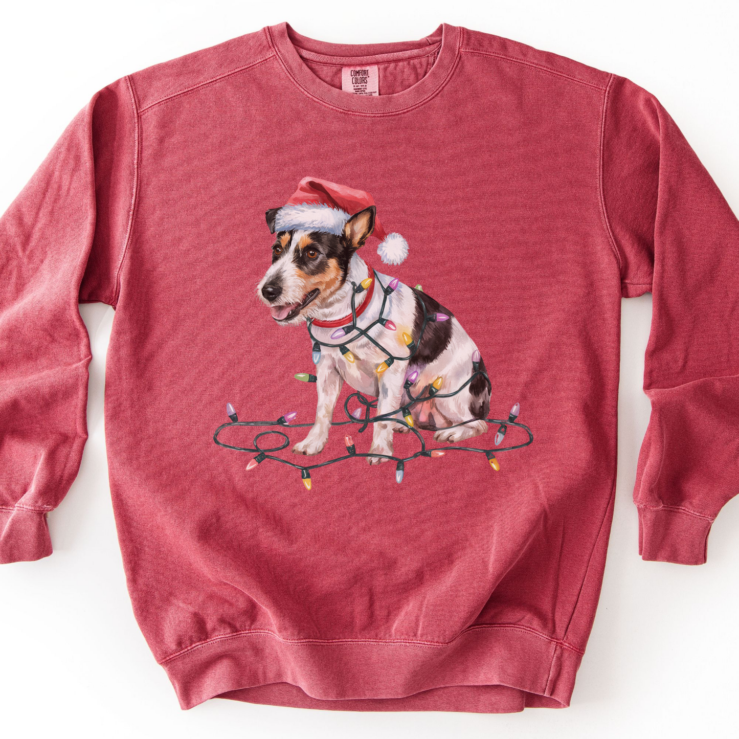 Rat Terrier Christmas Lights Sweatshirt, Festive Dog Lover Apparel