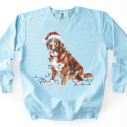 Nova Scotia Duck Tolling Retriever Christmas Sweatshirt, Festive Lights Dog Sweater