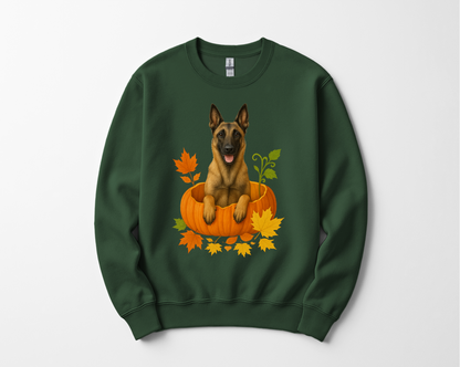 Belgian Malinois in Pumpkin Fall Shirt