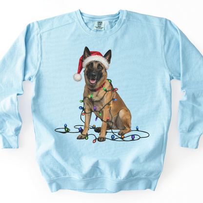 Belgian Malinois Christmas Lights Sweatshirt