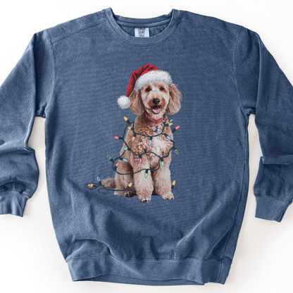 Poodle Christmas Lights Sweatshirt, Festive Dog Mom Sweater, Holiday Poodle Apparel