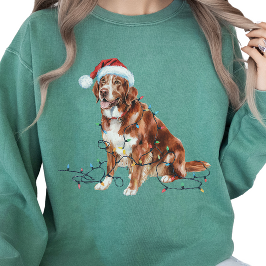 Nova Scotia Duck Tolling Retriever Christmas Sweatshirt, Festive Lights Dog Sweater