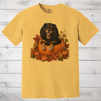 Black and Tan Cavalier Pumpkin Shirt