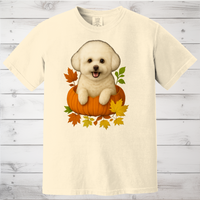 Load image into Gallery viewer, Bichon Frise Pumpkin Shirt
