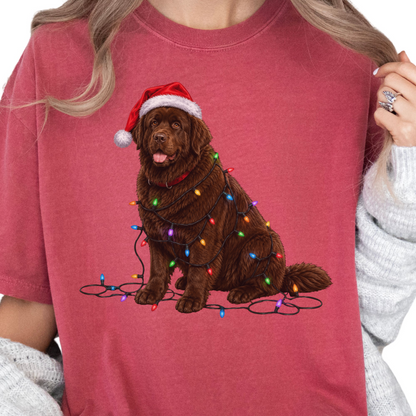 Chocolate Newfoundland Christmas Lights Shirt, Festive Holiday Tee for Newfie Lovers
