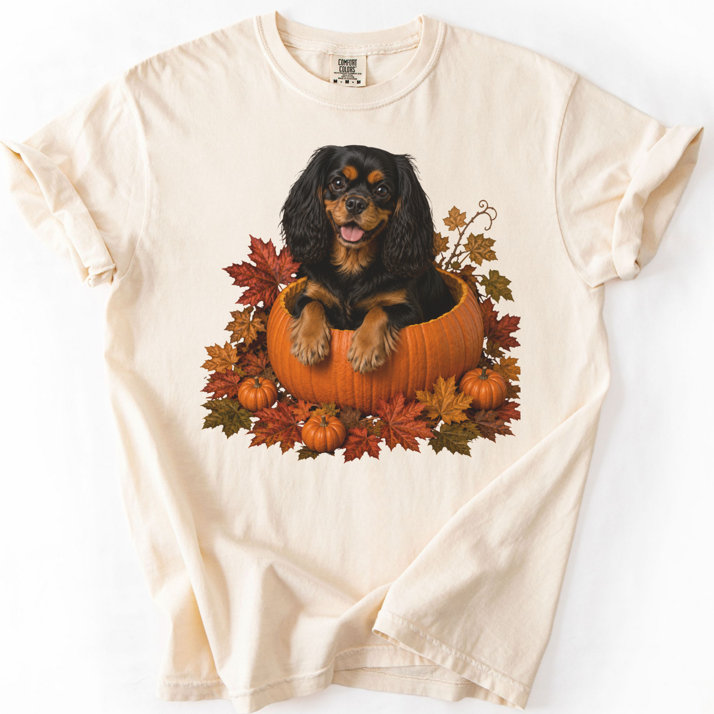 Black and Tan Cavalier Pumpkin Shirt Fall Dog Lover Autumn Comfort Colors Graphic Tee Gift Apparel