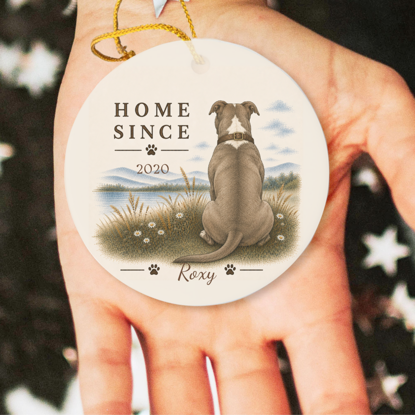 Personalized Pit Bull Ornament, Double Sided Gotcha Day Gift, Custom Dog Keepsake
