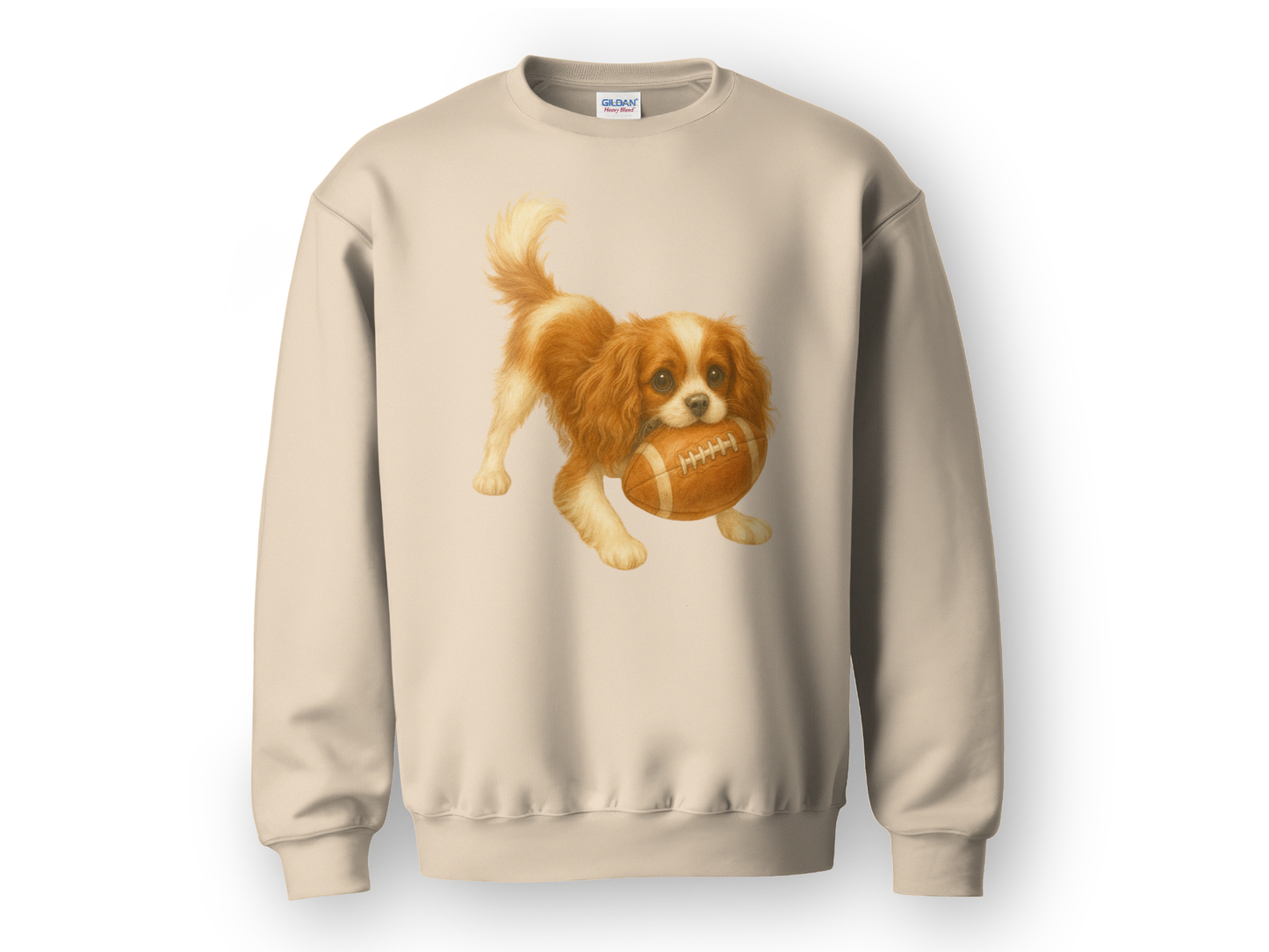 Blenheim Cavalier Football Sweatshirt
