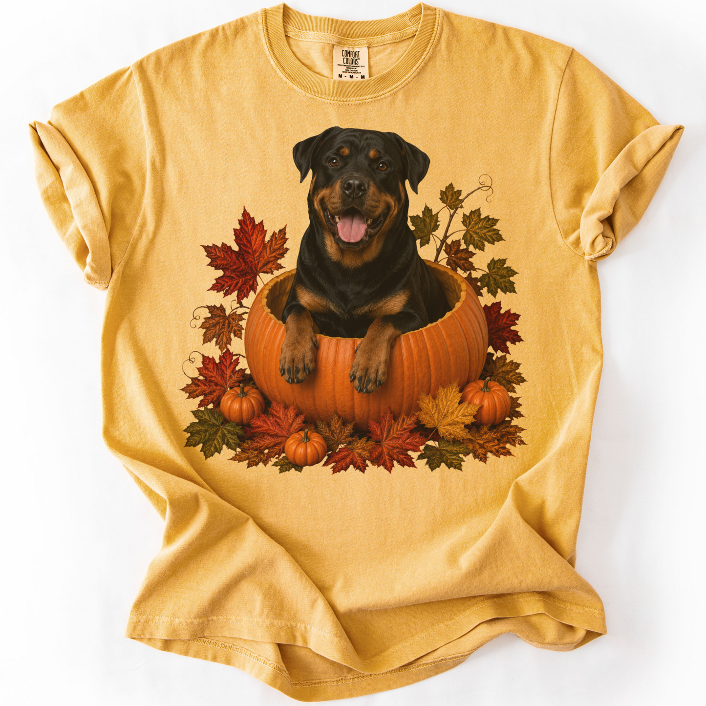 Rottweiler Pumpkin Fall T-Shirt, Cute Autumn Dog Lover Tee & Thanksgiving Gift