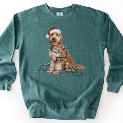 Goldendoodle Christmas Lights Sweatshirt