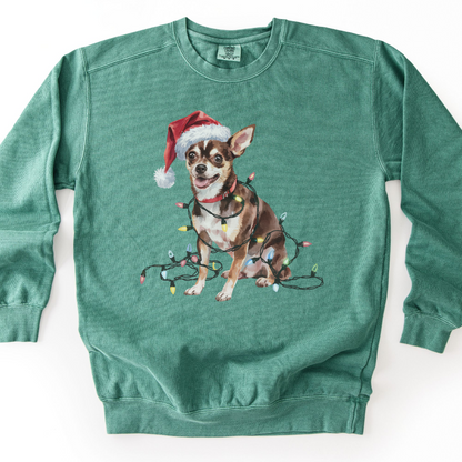Black Chihuahua Christmas Lights Sweatshirt
