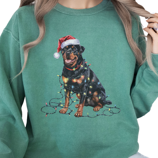 Rottweiler Christmas Lights Sweatshirt, Festive Dog Mom Sweater