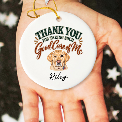 Personalized Veterinarian Ornament, Thank You Vet Gift From Dog, Custom Pet Name Keepsake