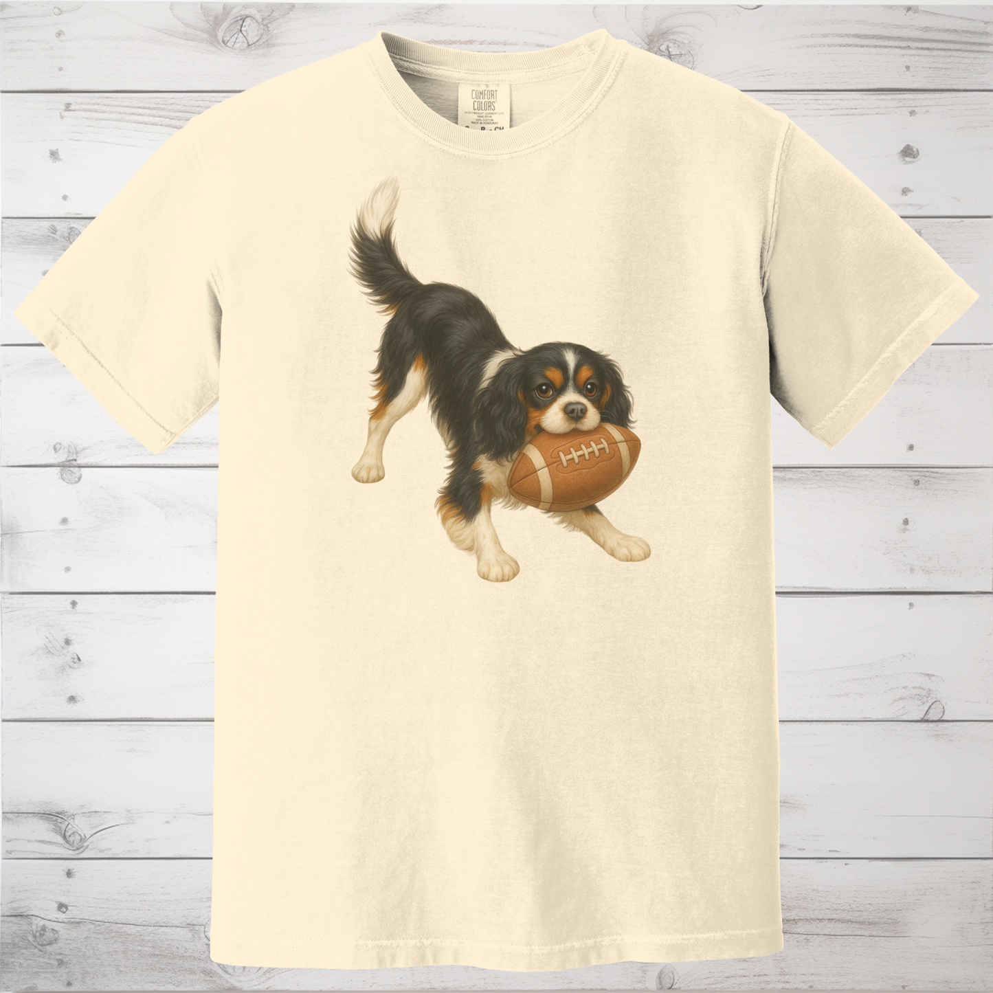 Tricolor Cavalier Football Shirt