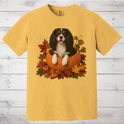 Tricolor Cavalier Pumpkin Shirt