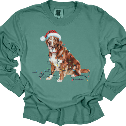 Christmas Nova Scotia Duck Tolling Retriever Long Sleeve Shirt, Festive Dog Lights Tee