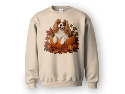 Blenheim Cavalier Pumpkin Sweatshirt Fall Dog Lover Autumn Puppy Crewneck Cozy Gift Pullover Apparel
