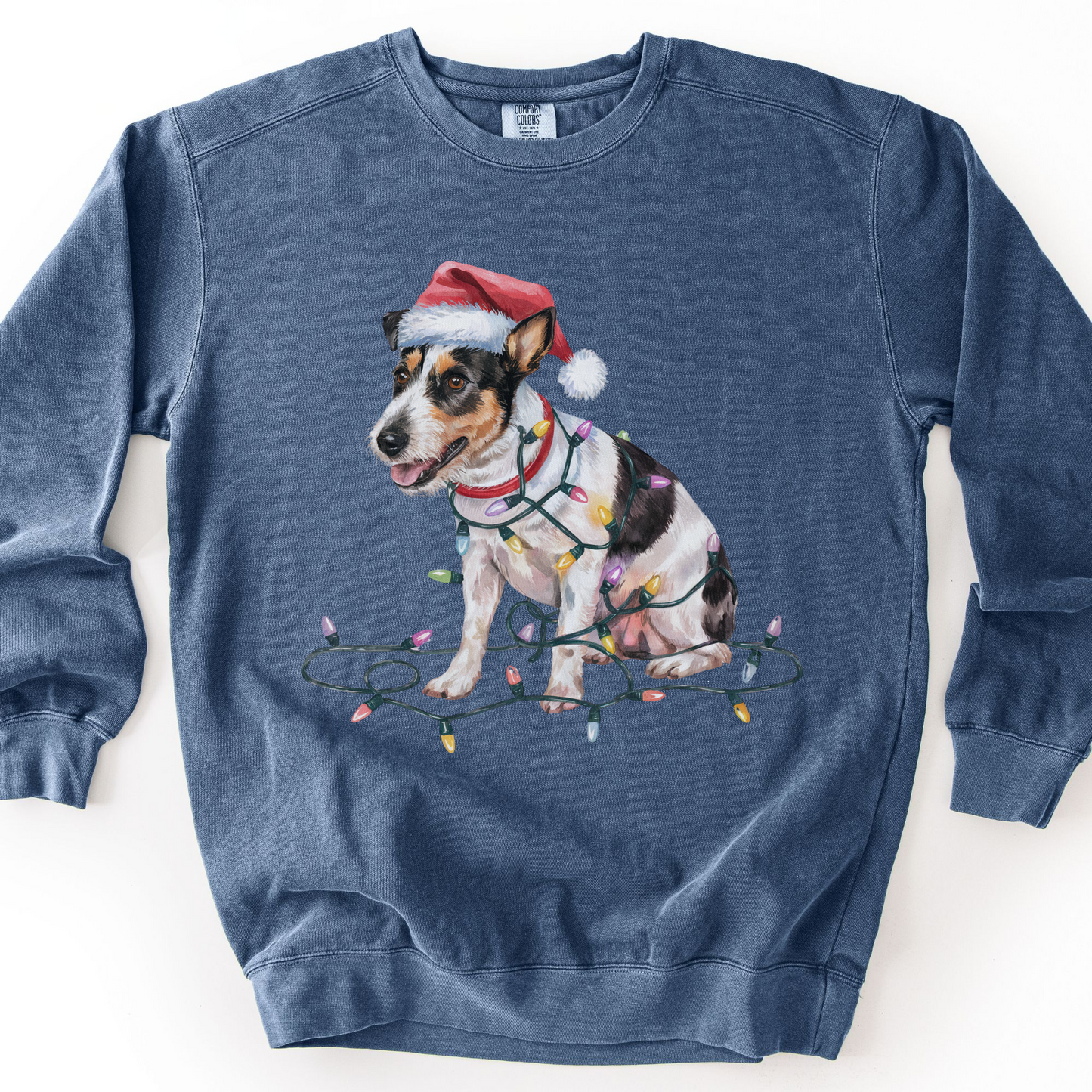 Rat Terrier Christmas Lights Sweatshirt, Festive Dog Lover Apparel