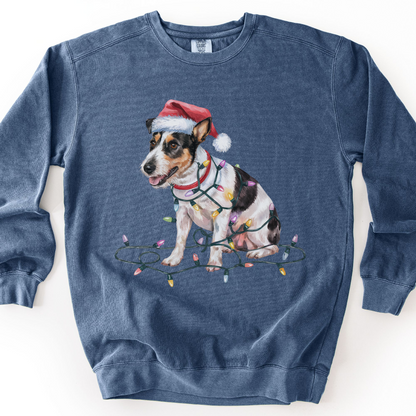 Rat Terrier Christmas Lights Sweatshirt, Festive Dog Lover Apparel