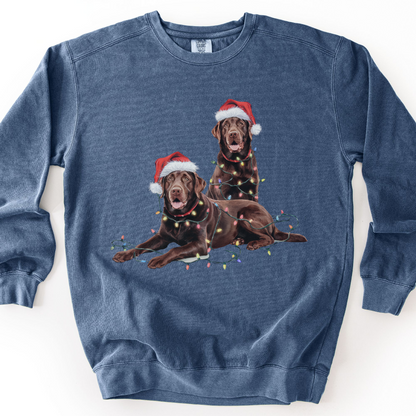 Chocolate Labs Christmas Lights Sweatshirt