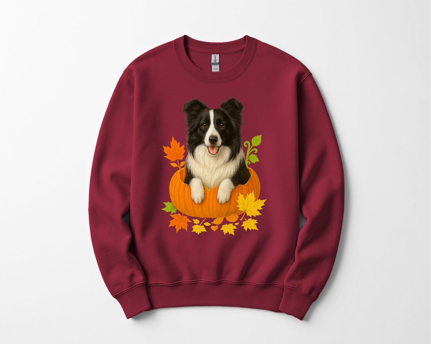 Border Collie in Pumpkin Fall Shirt