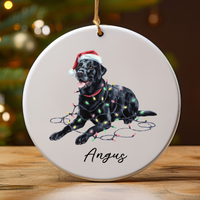 Load image into Gallery viewer, Personalized Black Labrador Christmas Lights Ornament
