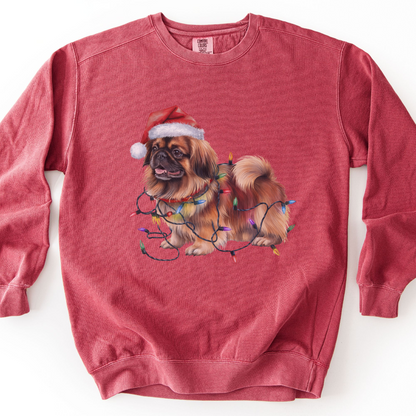 Pekingese Christmas Lights Dog Sweatshirt, Festive Holiday Pet Lover Apparel