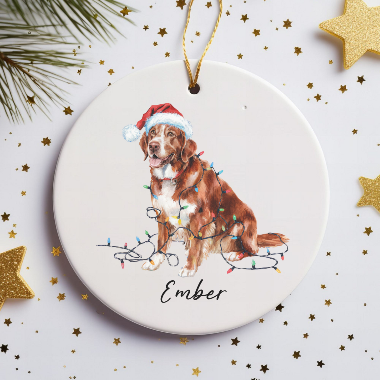 Nova Scotia Duck Tolling Retriever Ornament, Custom Dog Keepsake