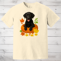 Load image into Gallery viewer, Black Lab in Pumpkin Fall Dog Lover Shirt
