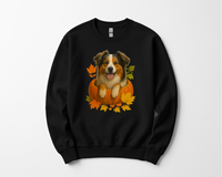 Load image into Gallery viewer, Australian Shepherd Pumpkin Fall Shirt
