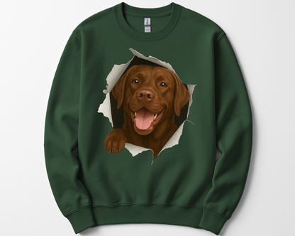Peeking Chocolate Lab Sweatshirt – Funny Dog Lover Gift, Cute Labrador Crewneck for Pet Owners, Lab Mom & Dad Shirt
