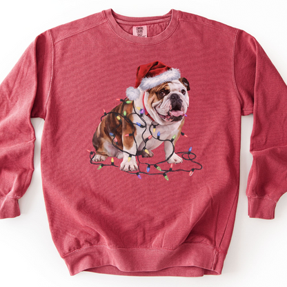 Bulldog Christmas Lights Sweatshirt