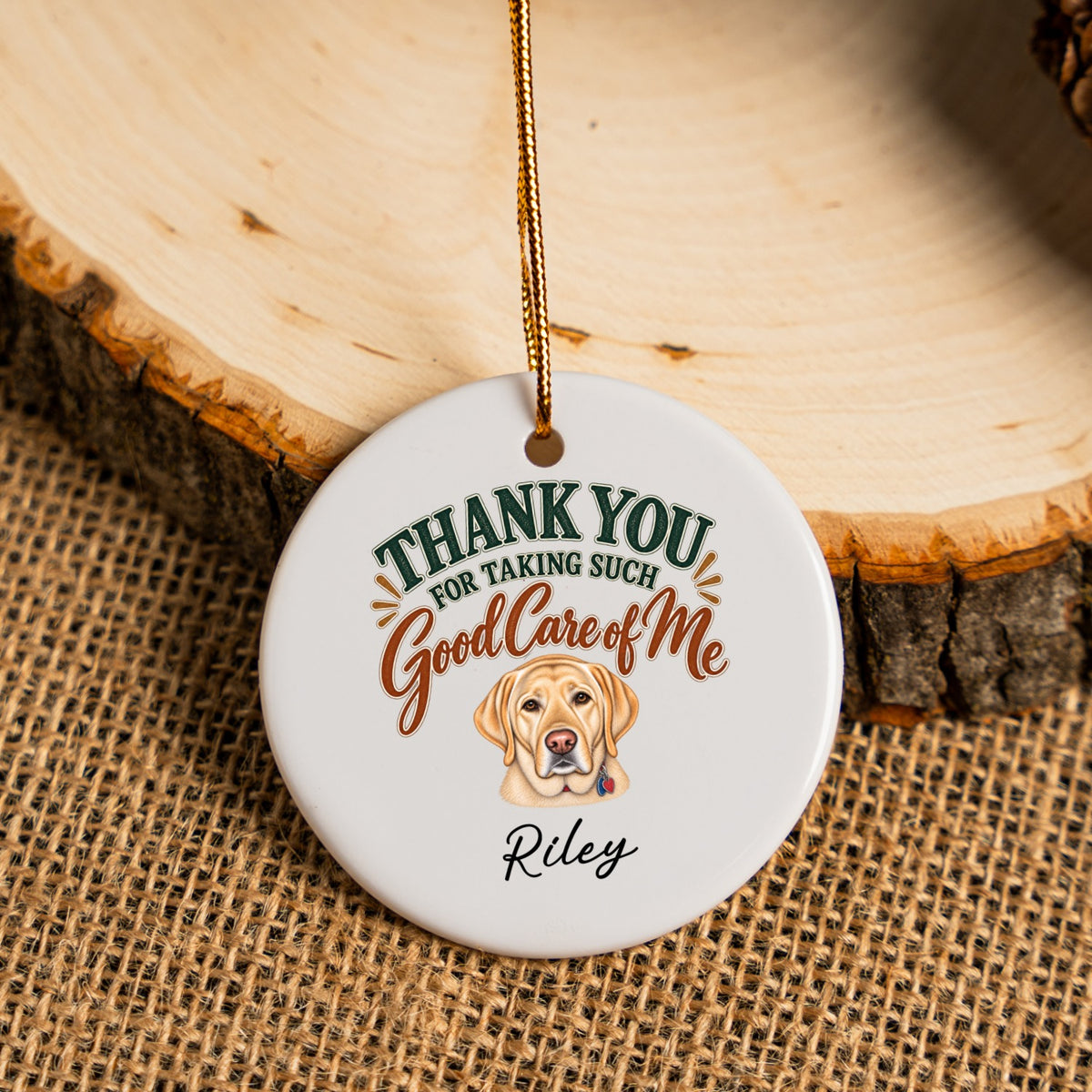 Personalized Veterinarian Ornament, Thank You Vet Gift From Dog, Custom Pet Name Keepsake