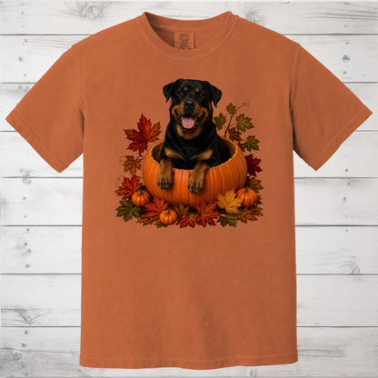 Rottweiler Pumpkin Shirt