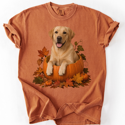Yellow Lab Pumpkin Shirt Fall Dog Lover Autumn Labrador Comfort Colors Graphic Tee Gift Apparel