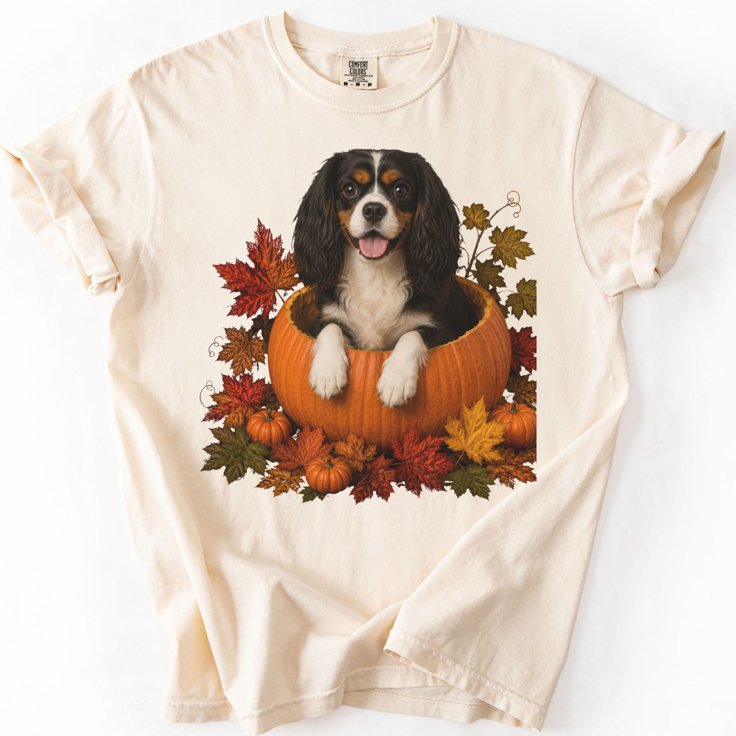 Tricolor Cavalier King Charles in Pumpkin Fall Shirt, Cute Autumn Dog Tee for Spaniel Moms