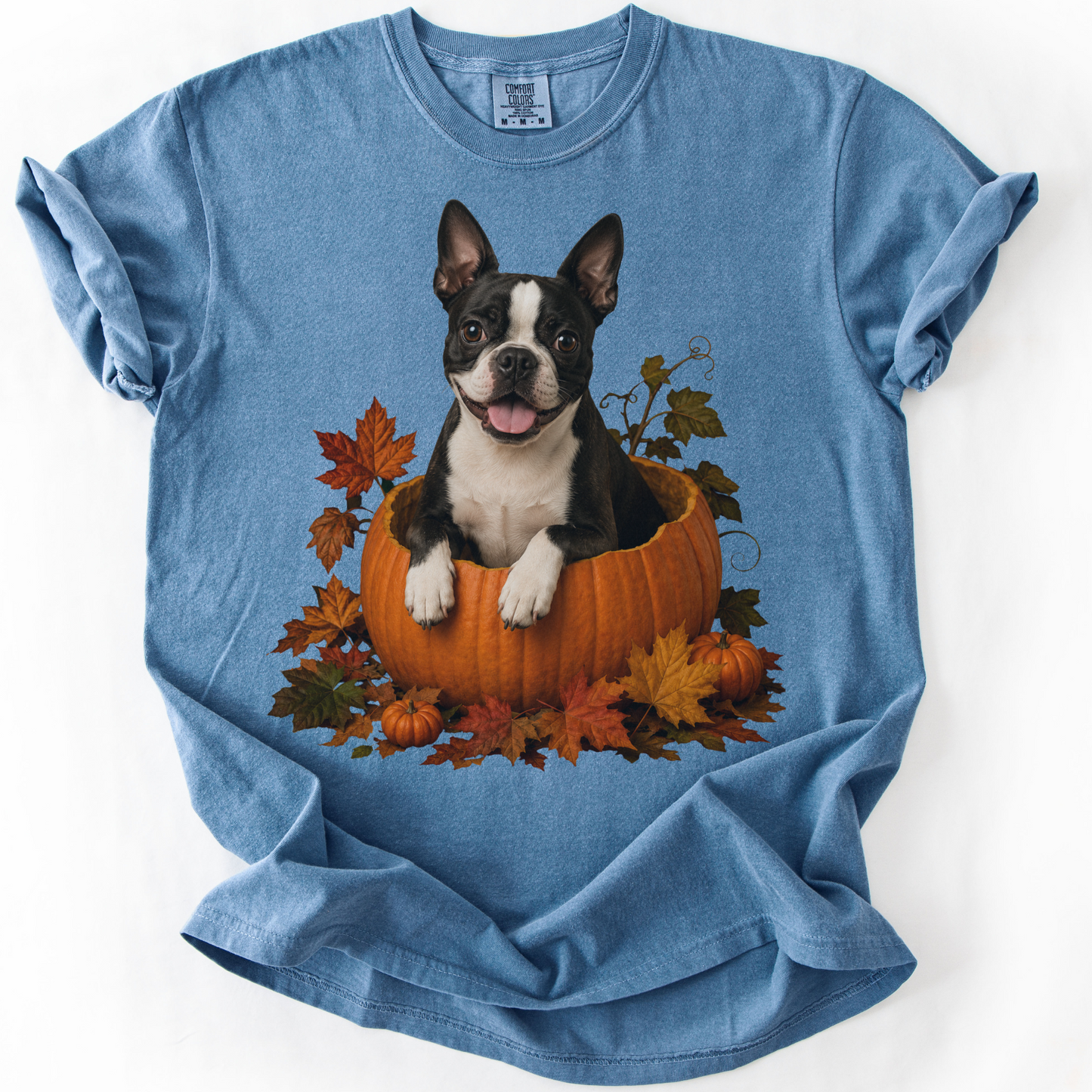 Boston Terrier Pumpkin Shirt, Cute Fall Dog Lover Tee on Comfort Colors
